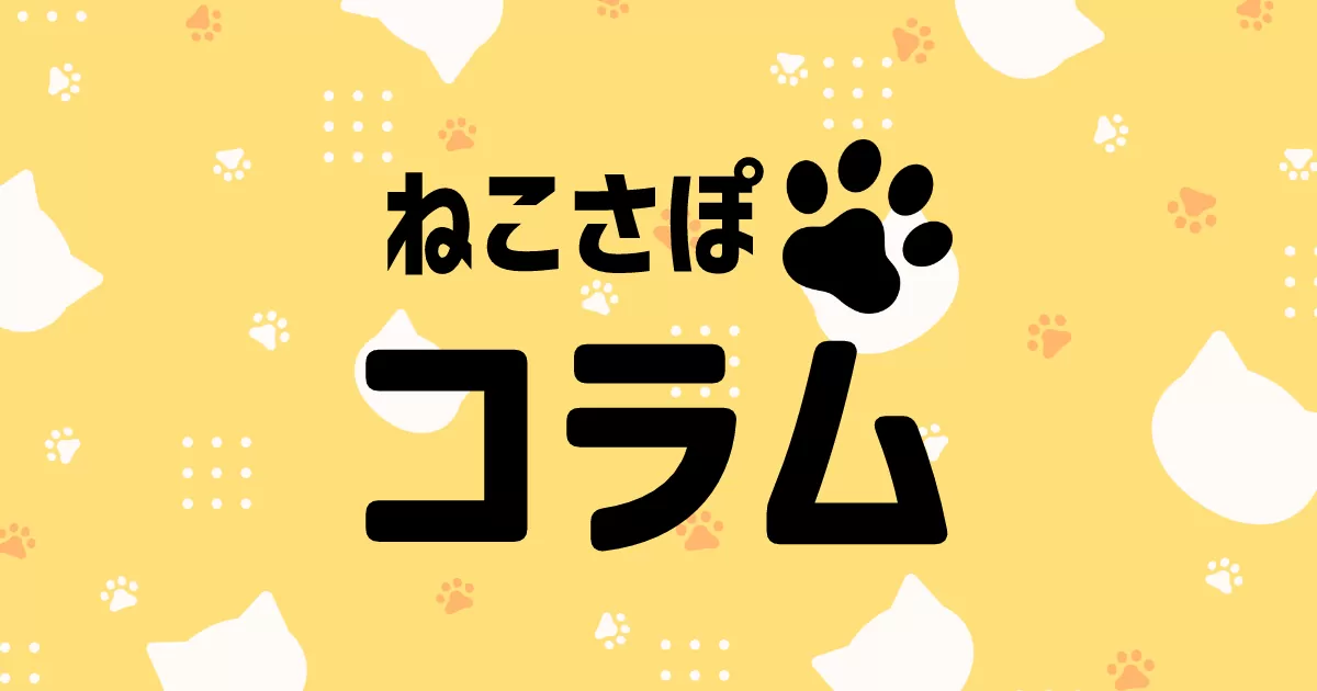 SSDの容量は大きめが良いというおはなし